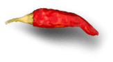 chilli-1