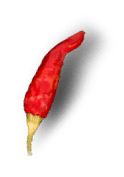 chilli-2