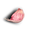 garlic-2